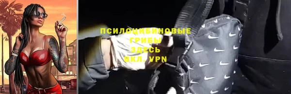 дмт Алексин