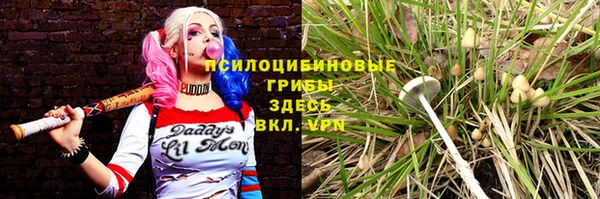 МДПВ Алексеевка