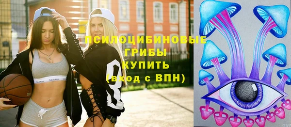 МДПВ Алексеевка