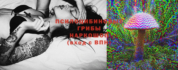 МДПВ Алексеевка