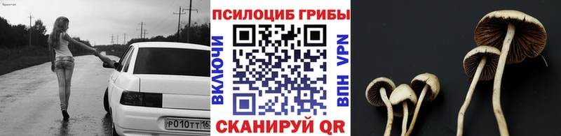 купить наркотик  Петров Вал  Галлюциногенные грибы Cubensis 