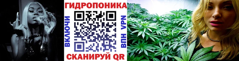 купить наркоту  Петров Вал  Бошки марихуана семена 